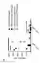 Fig. 26 - Novel Treatment Methods Based on Multifunctional Molecules
