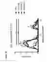 Fig. 27 - Novel Treatment Methods Based on Multifunctional Molecules