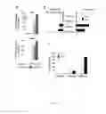 Fig. 04 - Antibodies directed against ICOS and uses thereof