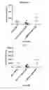 Fig. 05 - COMBINATION THERAPY FOR TREATMENT OF DISEASE