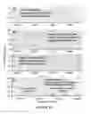 Fig. 12 - VEGFR2 ANTIBODIES