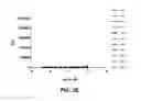 Fig. 08 - ANTI-FGFR ANTIBODIES AND METHODS OF USE
