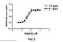 Fig. 10 - ANTI-FGFR ANTIBODIES AND METHODS OF USE