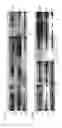 Fig. 08 - ANTI IL-3R ALPHA  AGENTS AND USES THEREOF