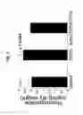 Fig. 08 - ANTI-FIBROTIC EFFECT OF CD70