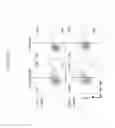 Fig. 18 - Anti-GITR Antibodies and Methods of Use Thereof