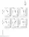 Fig. 19 - Anti-GITR Antibodies and Methods of Use Thereof