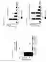 Fig. 21 - Anti-GITR Antibodies and Methods of Use Thereof
