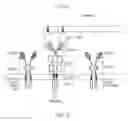 Fig. 04 - Chimeric cytokine receptors and encoding nucleic acids