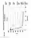 Fig. 09 - Monoclonal antibodies against antithrombin beta