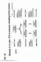 Fig. 11 - Monoclonal antibodies against antithrombin beta