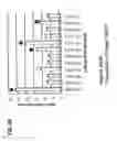 Fig. 18 - Monoclonal antibodies against antithrombin beta