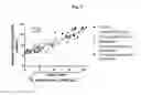 Fig. 07 - METHODS FOR INHIBITING ATHEROSCLEROSIS BY ADMINISTERING AN INHIBITOR OF PCSK9