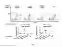 Fig. 10 - Non-human animals that select for light chain variable regions that bind antigen