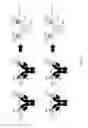 Fig. 20 - Non-human animals that select for light chain variable regions that bind antigen