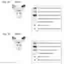 Fig. 02 - Cytotoxicity-inducing therapeutic agent