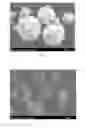 Fig. 03 - Spherical supported transition metal catalyst