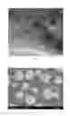 Fig. 04 - Spherical supported transition metal catalyst