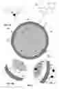 Fig. 03 - Dye doped polymer microparticles