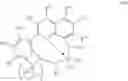 Fig. 19 - Branched EPDM polymers produced via use of vinyl transfer agents and processes for production thereof
