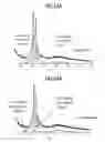 Fig. 13 - Biomimetic synthetic rubber and methods for controlling its physical properties through backbone double bond stereochemistry by monomer selection and end group modification