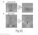 Fig. 24 - Bio-based thermosets