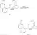 Fig. 11 - Transformation of meso-lactide