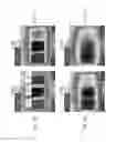 Fig. 16 - Hydrogels with improved mechanical properties below water freezing temperature