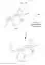 Fig. 21 - Thermoreversible polymers and methods of use thereof