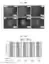 Fig. 25 - Thermoreversible polymers and methods of use thereof