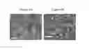 Fig. 05 - Enhancing the physical properties of semi-crystalline polymers via solid state shear pulverization