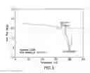 Fig. 06 - Composite material and resin composition containing metastable particles