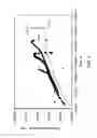 Fig. 04 - Extrusion of polypropylenes with organic peroxides