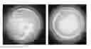 Fig. 01 - ANTIMICROBIAL AND ANTIVIRAL COMPOSITE POLYMER SURFACES