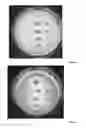 Fig. 02 - ANTIMICROBIAL AND ANTIVIRAL COMPOSITE POLYMER SURFACES