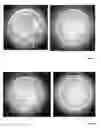 Fig. 03 - ANTIMICROBIAL AND ANTIVIRAL COMPOSITE POLYMER SURFACES