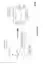 Fig. 06 - THERMOFORMED POLYMERIC ARTICLES CONTAINING AN ADDITIVE