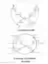 Fig. 13 - THERMOFORMED POLYMERIC ARTICLES CONTAINING AN ADDITIVE