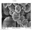 Fig. 02 - Composite polymer modifiers