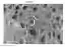 Fig. 08 - Composite polymer modifiers