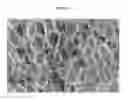 Fig. 09 - Composite polymer modifiers