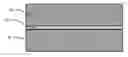 Fig. 01 - Method of enhancing surface electrical conductivity of conductive plastics and conductive plastic films produced thereby
