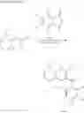 Fig. 24 - Rhodamine-based colorant compound and process for producing same