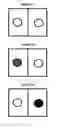 Fig. 03 - Compound for use in colour change compositions