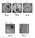 Fig. 04 - Emulsions containing water-soluble acid retarding agents and methods of making and using
