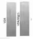 Fig. 09 - On the fly mixing of acids and diversion fluids with water-soluble retarding agents