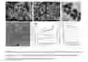 Fig. 04 - Homogeneous persistent luminescence nanocrystals and methods of preparation and application thereof