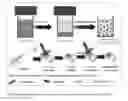 Fig. 13 - Homogeneous persistent luminescence nanocrystals and methods of preparation and application thereof