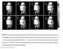 Fig. 19 - Homogeneous persistent luminescence nanocrystals and methods of preparation and application thereof