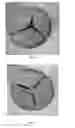 Fig. 04 - Slow-burning log